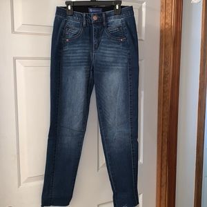 Democracy “Ab”Solution High Rise Cropped Girlfriend Jean, Mid-Blue Vintage Sz 2